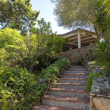 Ahr Altura Porto Rafael Palau