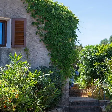 Ahr Altura Porto Rafael Hotell