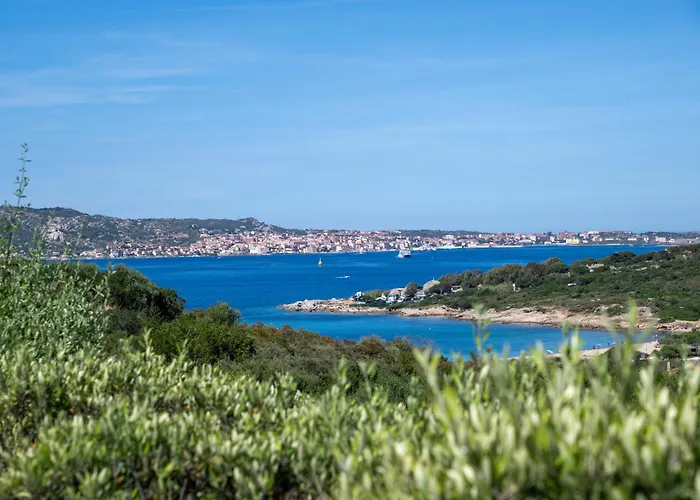 Ahr Altura Porto Rafael Hotel