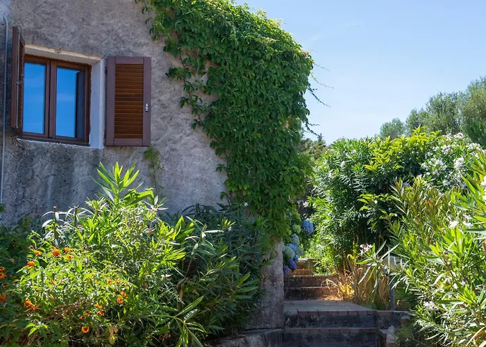 Ahr Altura Porto Rafael Hotel
