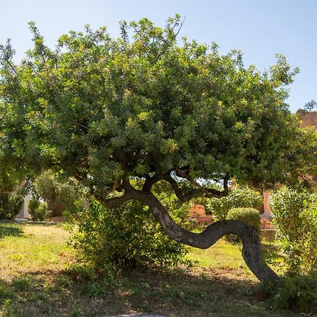 Ahr Altura Porto Rafael Hotel 4*