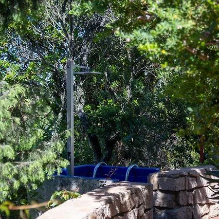 Ahr Altura Porto Rafael Palau