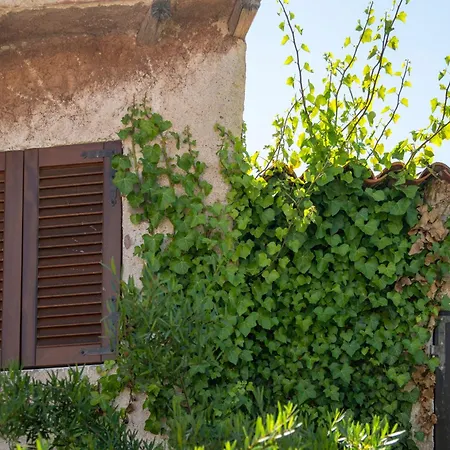 Ahr Altura Porto Rafael Hotel Palau