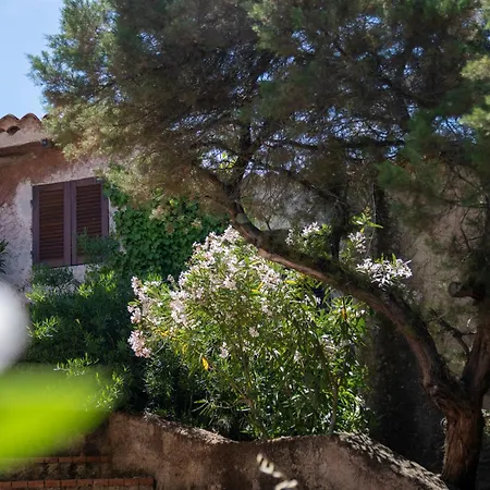 Ahr Altura Porto Rafael 4* Палау