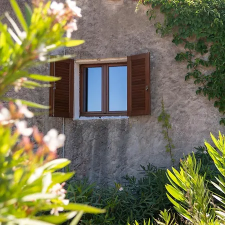 Ahr Altura Porto Rafael