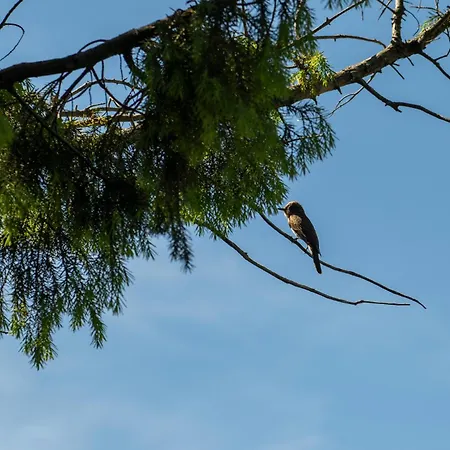 Ahr Altura Porto Rafael 4*