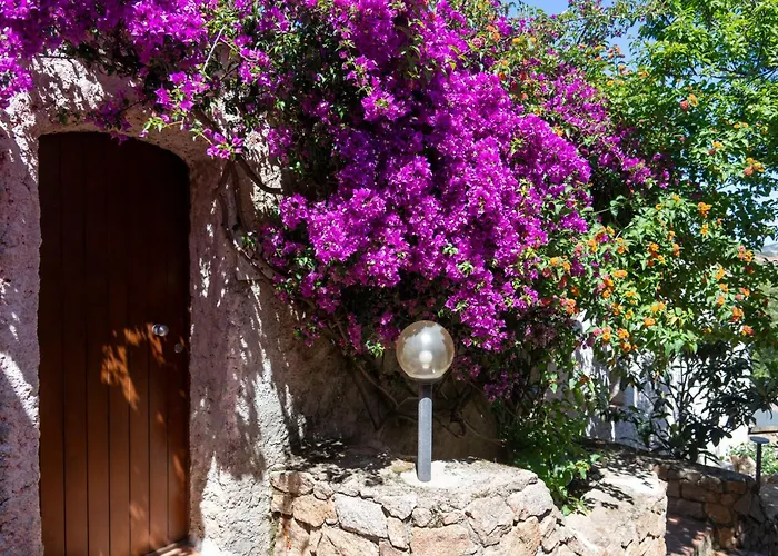 Hotel Ahr Altura Porto Rafael Palau
